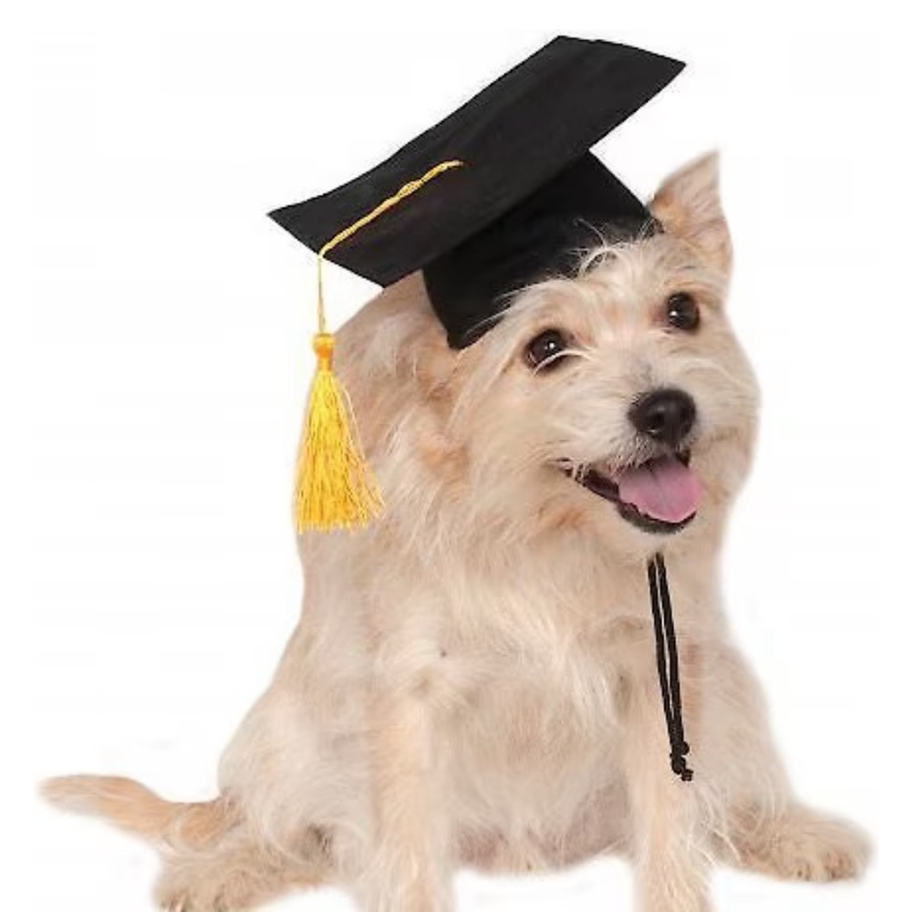 New Rubie's Costume Company Graduation Hat Dog & Cat Costume, Small/Medium